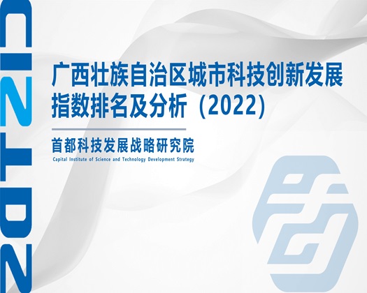 搞大美女BB视频【成果发布】广西壮族自治区城市科技创新发展指数排名及分析（2022）